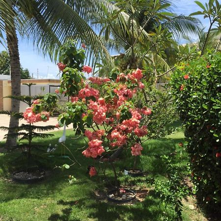Pousada Villa Joia บาร์ฮาเดเซามิเกล ภายนอก รูปภาพ