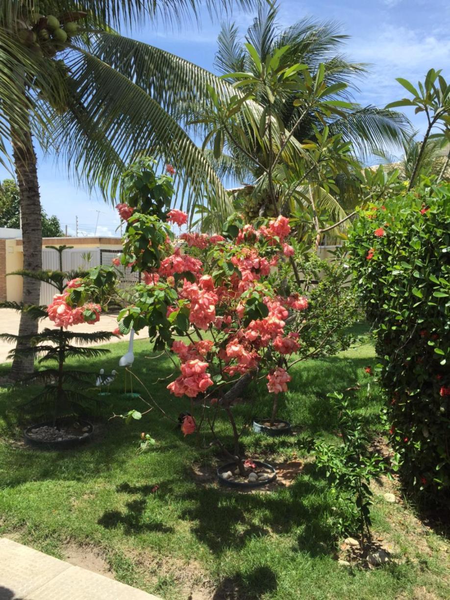 Pousada Villa Joia บาร์ฮาเดเซามิเกล ภายนอก รูปภาพ